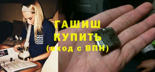 шишки Новодвинск