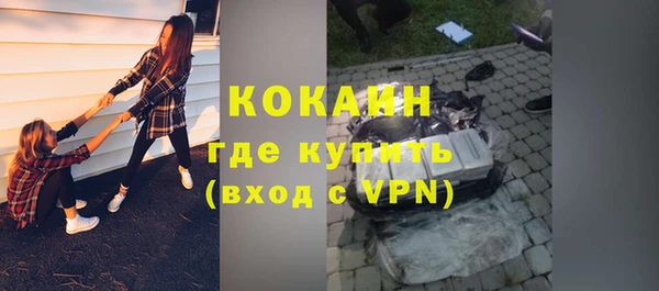 прущие грибы Весьегонск