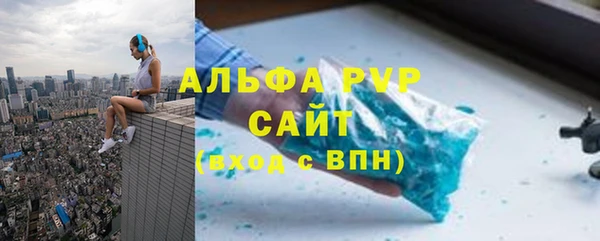 шишки Новодвинск