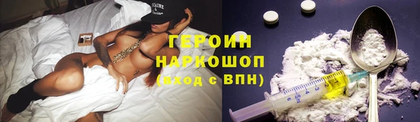 шишки Новодвинск