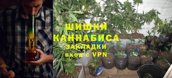 шишки Новодвинск