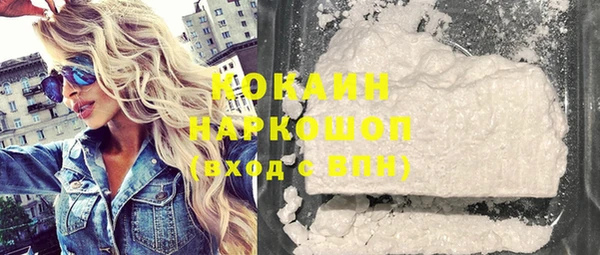 шишки Новодвинск