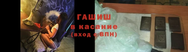 шишки Новодвинск
