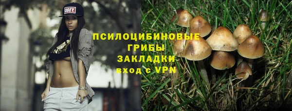 шишки Новодвинск