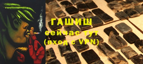 шишки Новодвинск