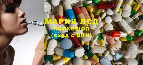 шишки Новодвинск