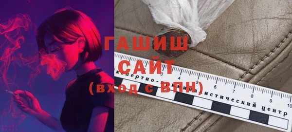 шишки Новодвинск