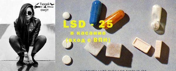 шишки Новодвинск